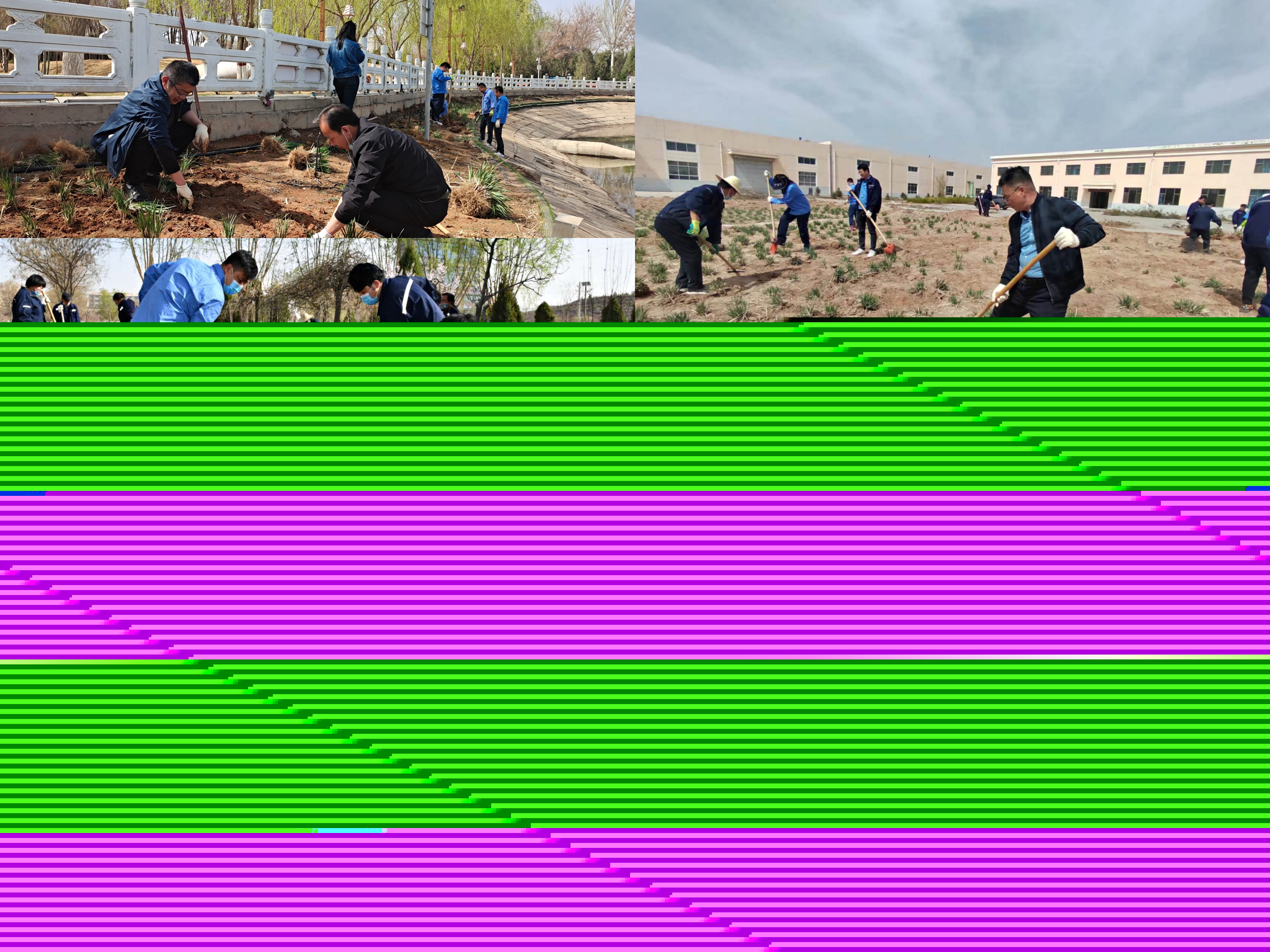 801a08921b01829def00fa3e4975980.jpg